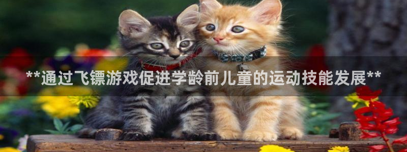 富联平台官网登录入口手机版：**通过飞镖游戏促进学龄