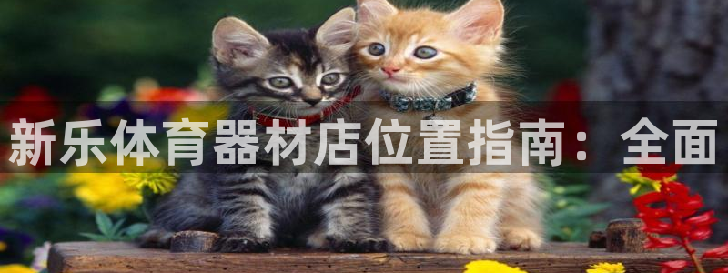 富联商厦：新乐体育器材店位置指南：全面