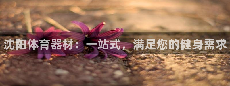 富联申购什么时间上市：沈阳体育器材：一站式，满足您的