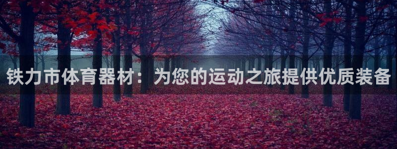 富联小区：铁力市体育器材：为您的运动之旅提供优质装备