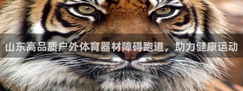 富联平台主管代理：山东高品质户外体育器材障碍跑道，助