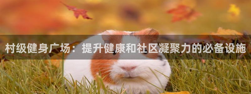 富联丰地产交易平台：村级健身广场：提升健康和社区凝聚