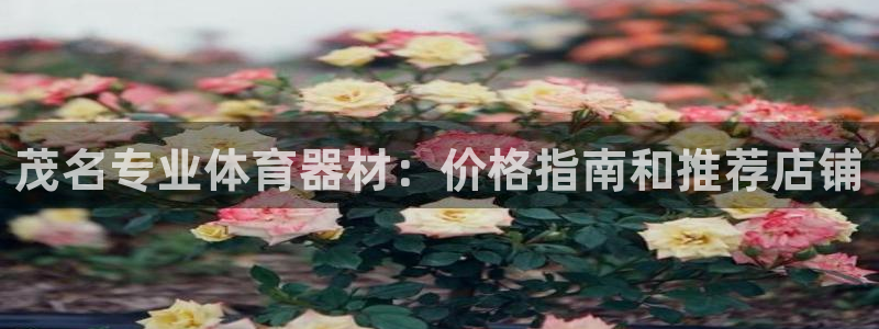 富联包装电话是多少：茂名专业体育器材：价格指南和推荐