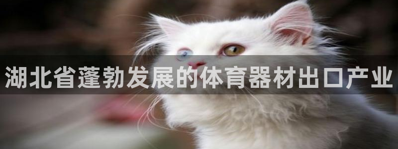 富联娱乐客户端app下载服务器失败：湖北省蓬勃发展的