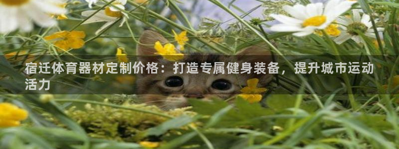 富联娱乐平台开户条件要求：宿迁体育器材定制价格：打造