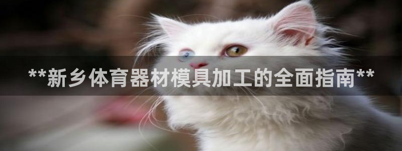 富联娱乐是真的吗：**新乡体育器材模具加工的全面指南