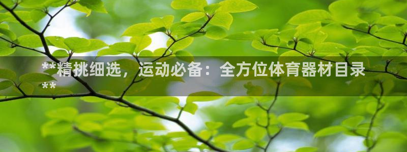 富联娱乐平台怎么样：**精挑细选，运动必备：全方位体