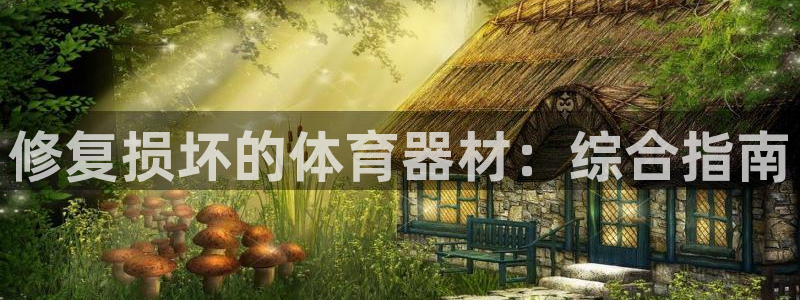 富联娱乐是什么时候开的股票：修复损坏的体育器材：综合