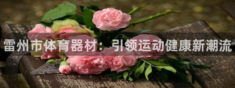富联娱乐嗯 5O6917 富联：雷州市体育器材：引领