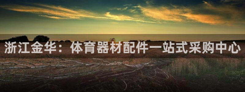 富联平台注册登录入口：浙江金华：体育器材配件一站式采