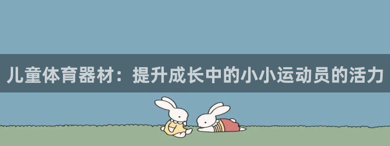 富联平台登录注册流程：儿童体育器材：提升成长中的小小