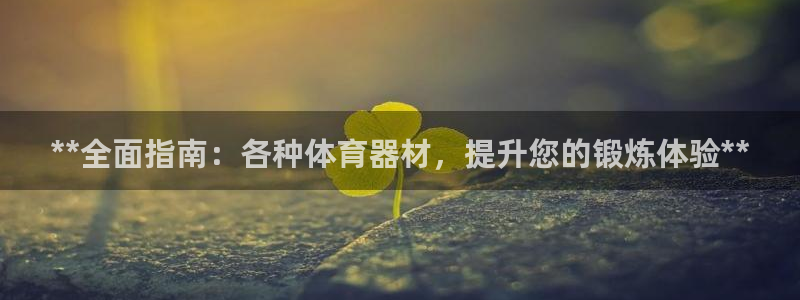 富联丰地产怎么样：**全面指南：各种体育器材，提升您