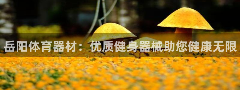 富联娱乐认 58534I 富联：岳阳体育器材：优质健