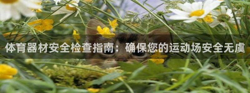 富联平台安装视频教程：体育器材安全检查指南：确保您的