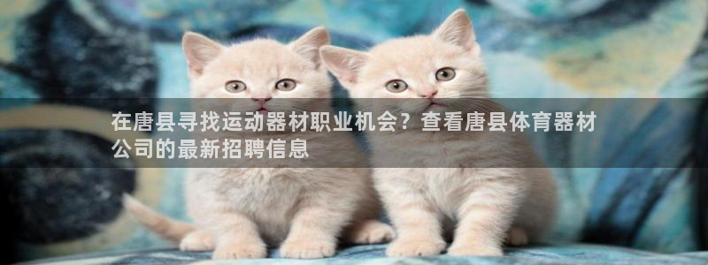 富联娱乐口 411O31 娱乐：在唐县寻找运动器材职