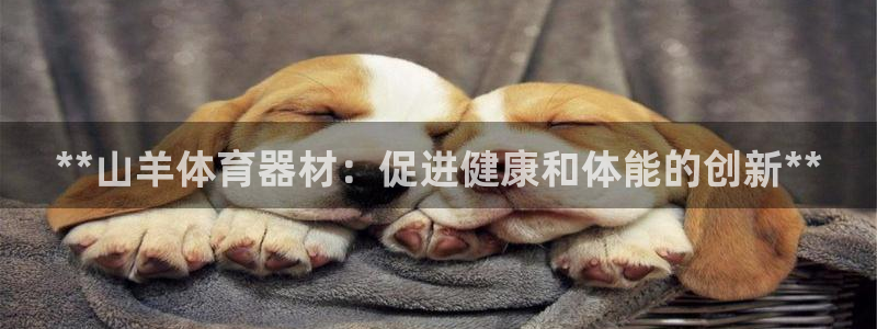 富联官网授权：**山羊体育器材：促进健康和体能的创新