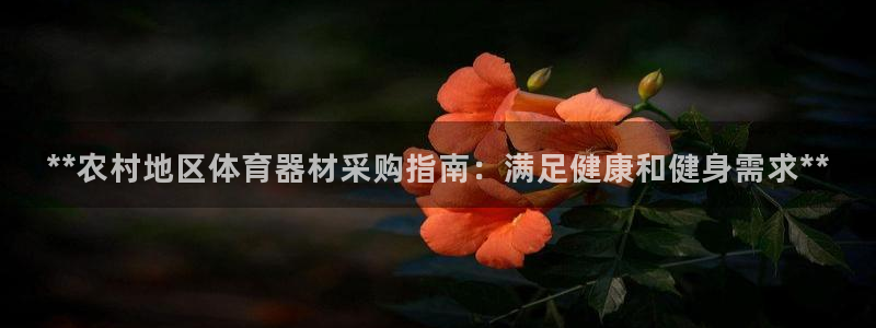 富联智能工坊：**农村地区体育器材采购指南：满足健康