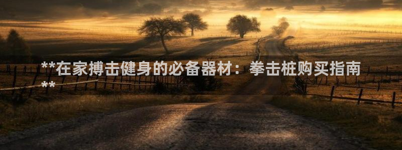 富联平台代理注册：**在家搏击健身的必备器材：拳击桩