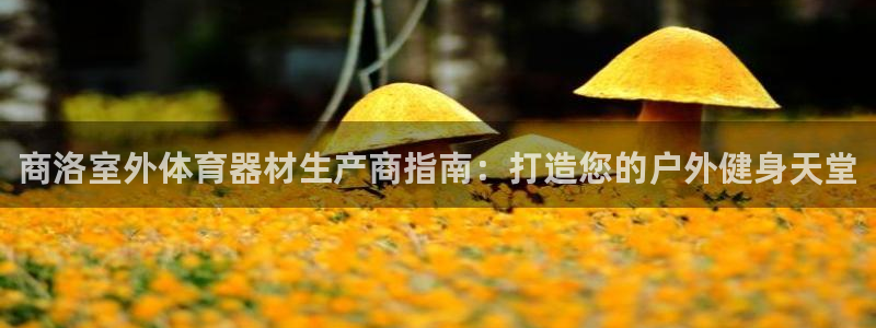 富联平台开户流程：商洛室外体育器材生产商指南：打造您