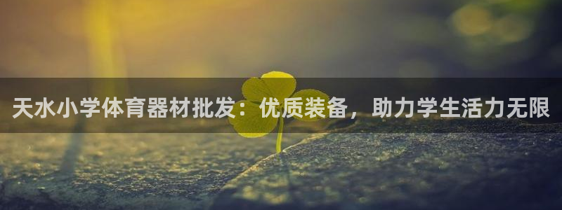 富联平台官网首页：天水小学体育器材批发：优质装备，助