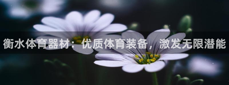 富联娱乐黑吗：衡水体育器材：优质体育装备，激发无限潜