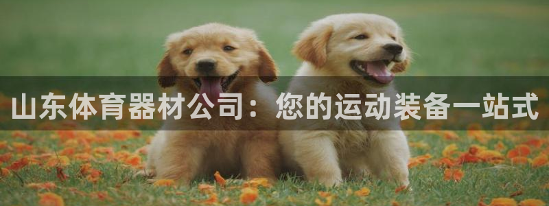 富联娱乐平台怎么样知乎：山东体育器材公司：您的运动装