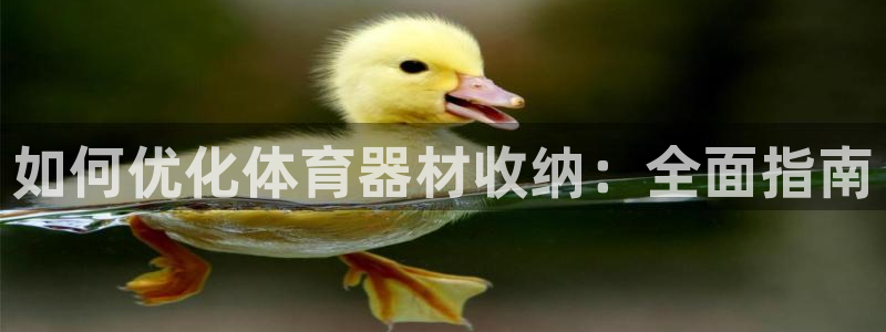 富联集团最新消息今天：如何优化体育器材收纳：全面指南