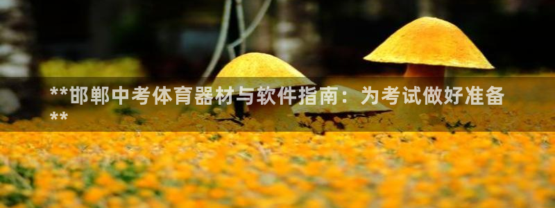 富联官方网站入口：**邯郸中考体育器材与软件指南：为