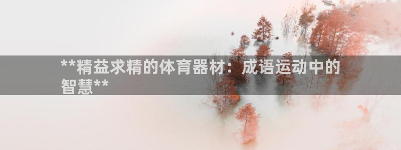 富联娱乐正规吗可信吗：**精益求精的体育器材：成语运