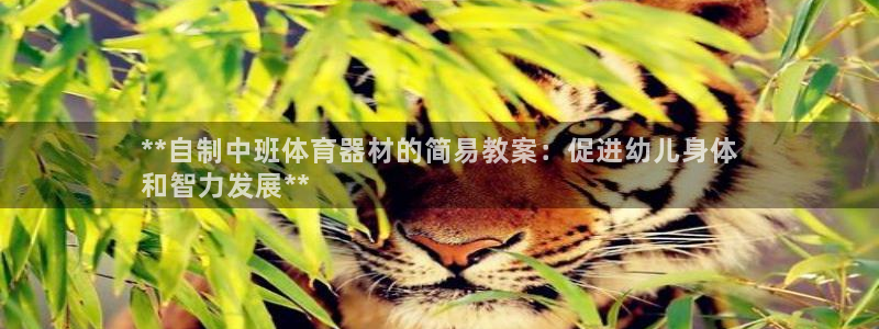 富联娱乐平台开户：**自制中班体育器材的简易教案：促