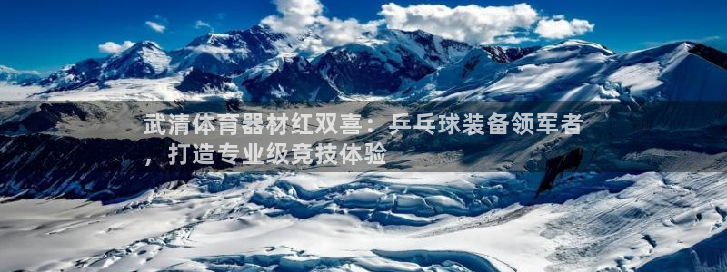 富联娱乐测速登录不了：武清体育器材红双喜：乒乓球装备