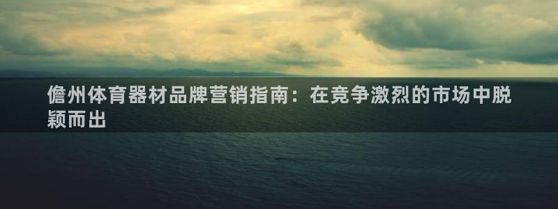 富联娱乐登录注册：儋州体育器材品牌营销指南：在竞争激