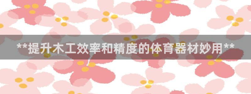 富联申购是什么股票：**提升木工效率和精度的体育器材