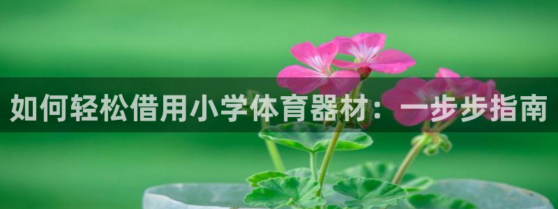 富联平台q665.786：如何轻松借用小学体育器材：