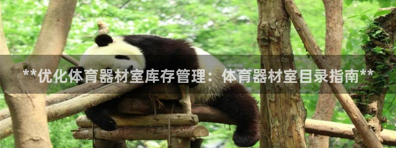 富联娱乐正规吗：**优化体育器材室库存管理：体育器材