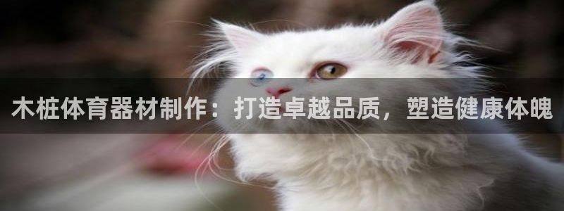 富联平台登录网址是多少：木桩体育器材制作：打造卓越品