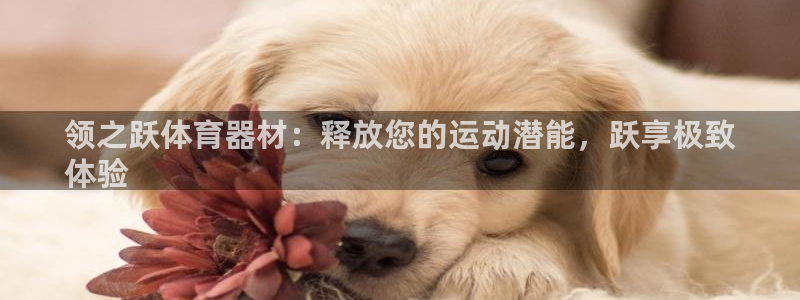 富联官方网站入口查询：领之跃体育器材：释放您的运动潜