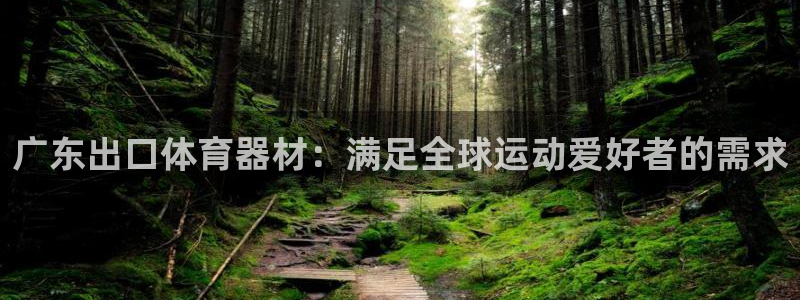 富联最新股价：广东出口体育器材：满足全球运动爱好者的