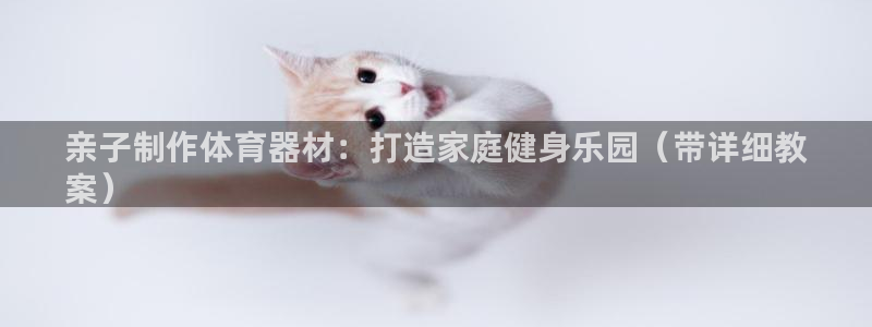 富联娱乐登陆：亲子制作体育器材：打造家庭健身乐园（带