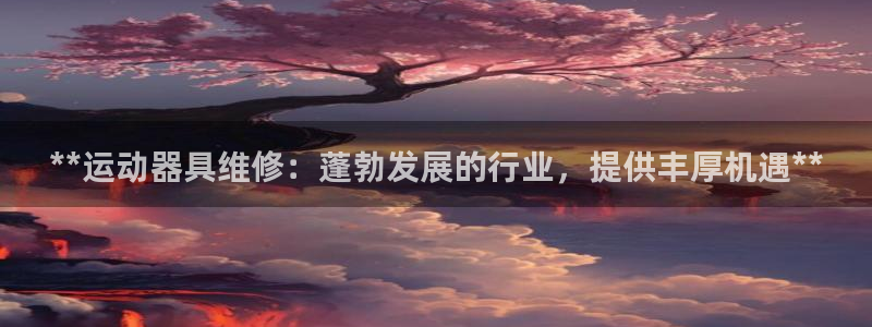 富联平台网站：**运动器具维修：蓬勃发展的行业，提供