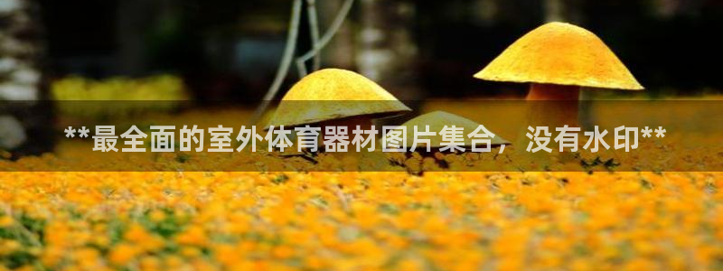 富联地产怎么样可靠吗： **最全面的室外体育器材图片