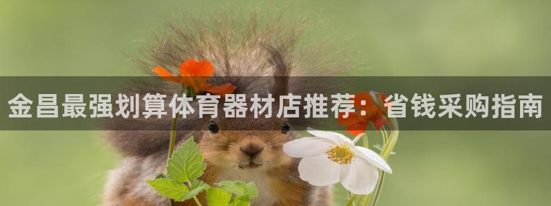 富联娱乐华 5O6917 娱乐：金昌最强划算体育器材