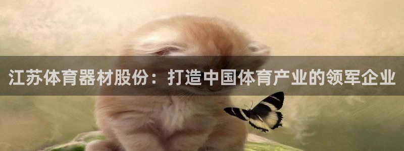 富联平台微信：江苏体育器材股份：打造中国体育产业的领军企业