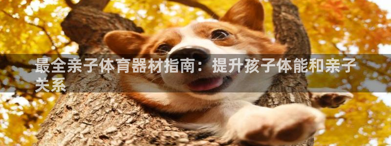 富联娱乐在线注册链接：最全亲子体育器材指南：提升孩子