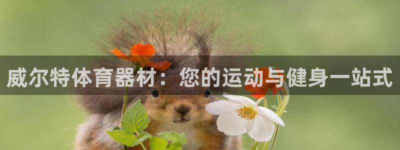 富联娱乐是什么时候开的：威尔特体育器材：您的运动与健