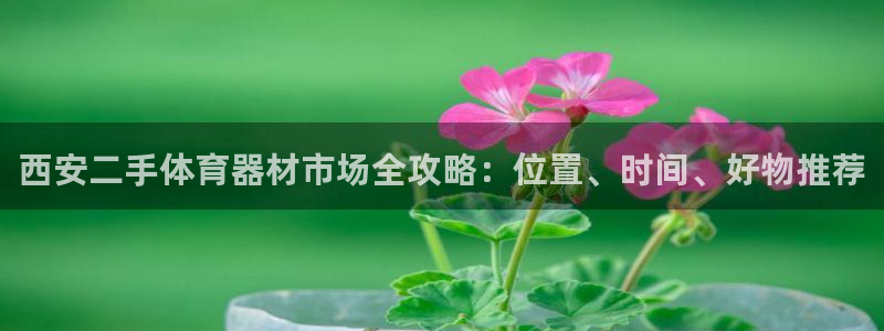 富联娱乐平台能挣到钱吗知乎：西安二手体育器材市场全攻