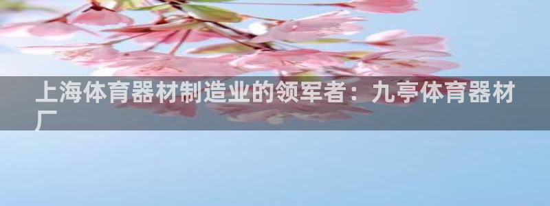 富联官网登录入口网址：上海体育器材制造业的领军者：九