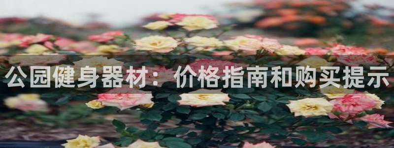 富联平台推荐 37oo735：公园健身器材：价格指南