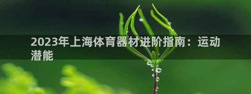 富联娱乐客服微信号是多少：2023年上海体育器材进阶指南：运