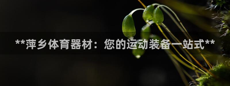 富联平台叩 411O31 富联：**萍乡体育器材：您